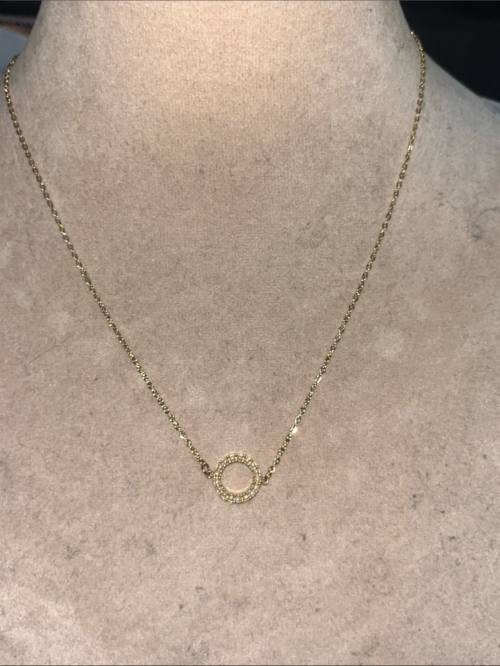 Delicate Gold tone Circle Pendant Necklace